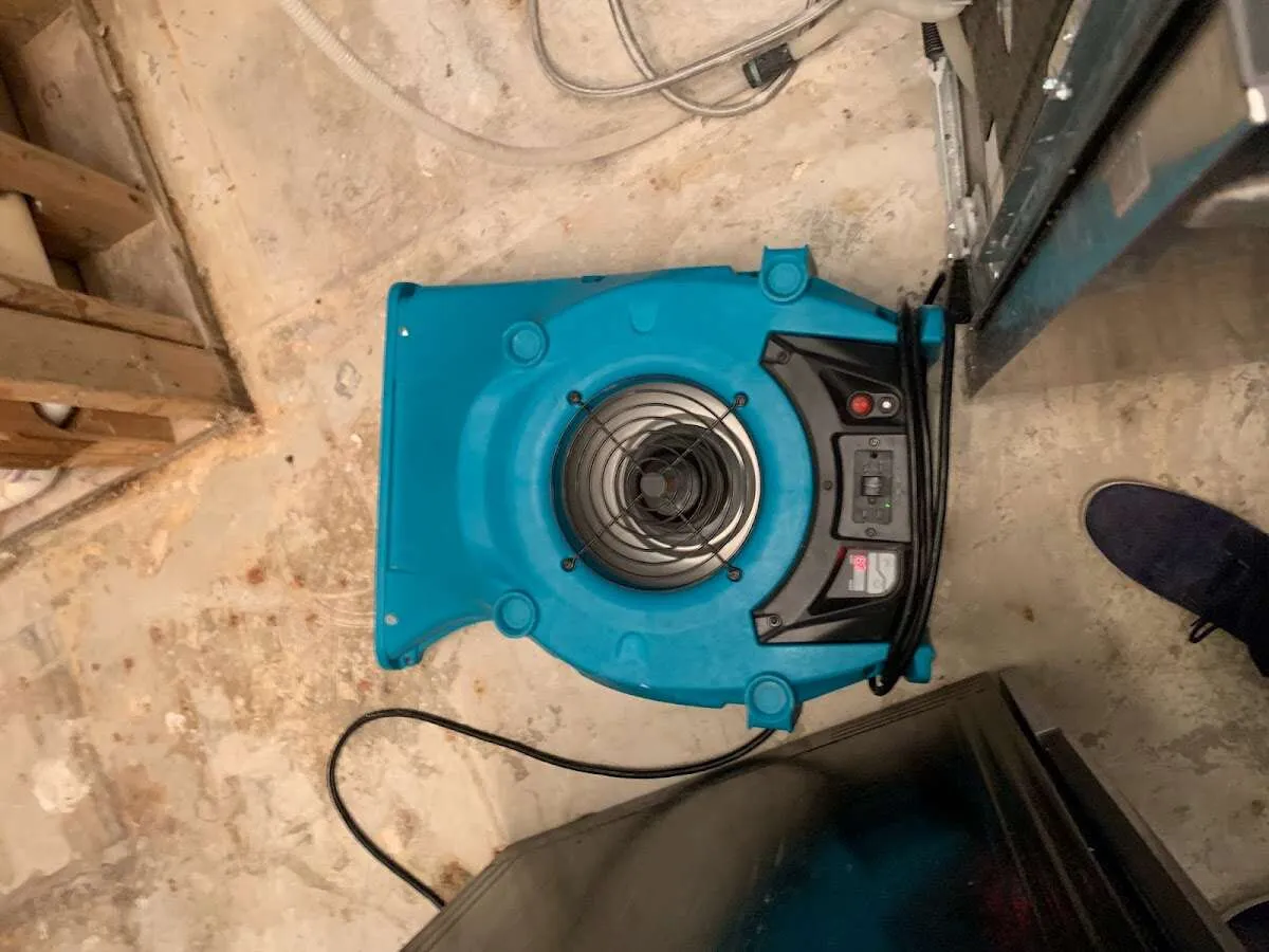 Air mover drying equipment for Mold Remediation & Removal in Westmont